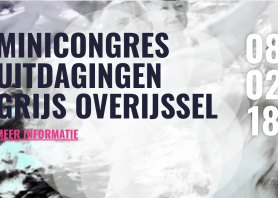 Grijs Overijssel Trendbureau