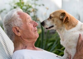 211112_Adopting-an-Older-Pet